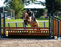 Pony