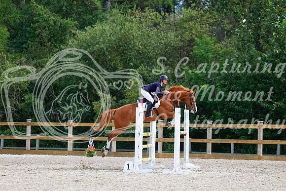 2025 - Haylee - Picco Horse Show - Sunday July 27th 05776