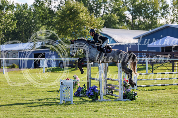 2025 - Shea - Teesdale - Friday July 25th - 03407