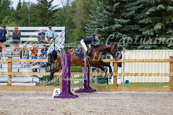 2025 - Haylee - Picco Horse Show - Friay July 25th 01897