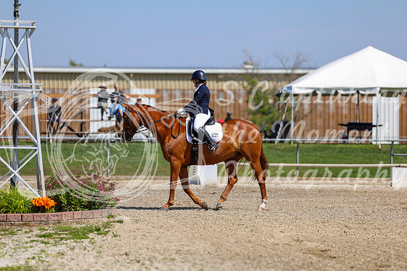 2025 - Dressage Festival - Saturday July 5th - 04744