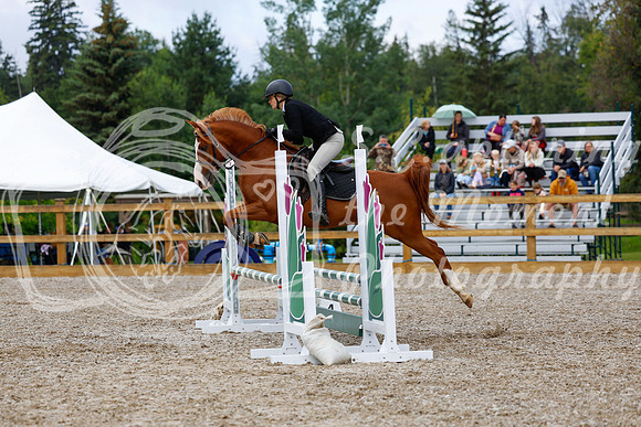 2025 - Haylee - Picco Horse Show - Sunday July 27th 02173