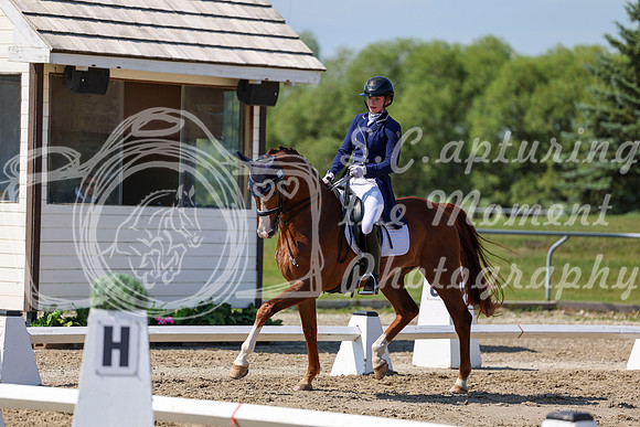 2025 - Dressage Festival - Saturday July 5th - 04280