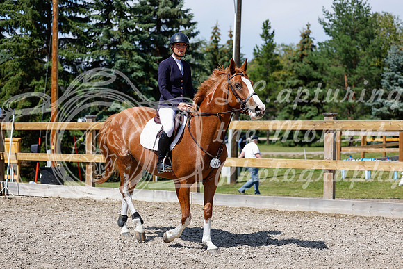 2025 - Haylee - Picco Horse Show - Thursday July 24th 03897