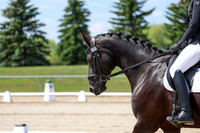 2025 - Dressage Festival - Saturday July 5th - 06972