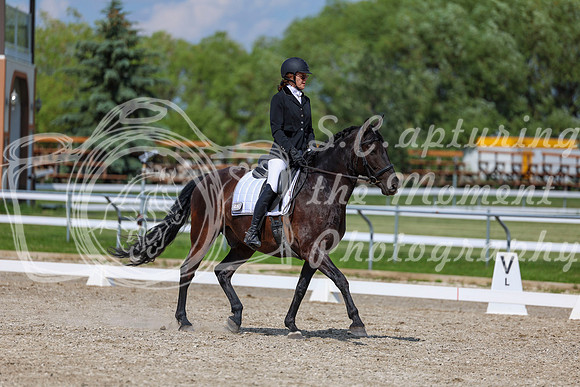 2025 - Dressage Festival - Saturday July 5th - 15220