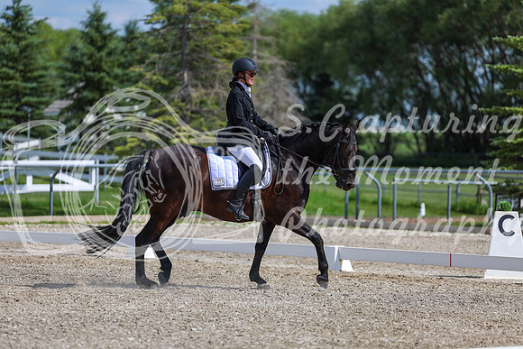 2025 - Dressage Festival - Saturday July 5th - 15232