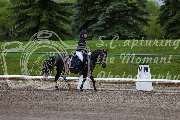 2025 - Dressage Festival - Sunday July 6th - 00028