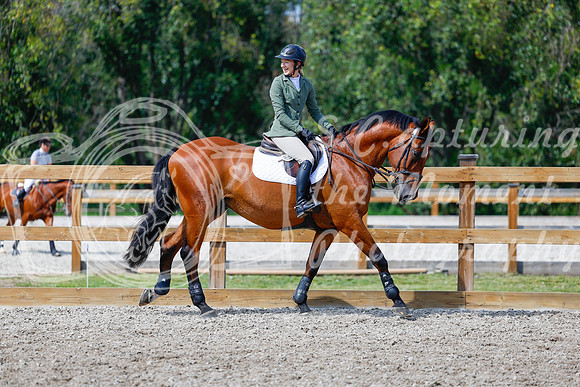 2025 - Haylee - Picco Horse Show - Saturday July 26th 07738