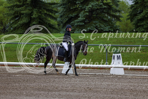 2025 - Dressage Festival - Sunday July 6th - 00029