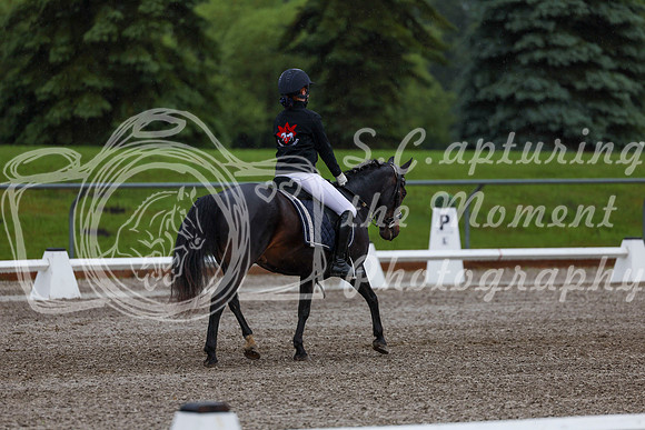 2025 - Dressage Festival - Sunday July 6th - 00164