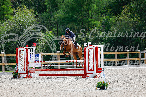2025 - Haylee - Picco Horse Show - Sunday July 27th 04288