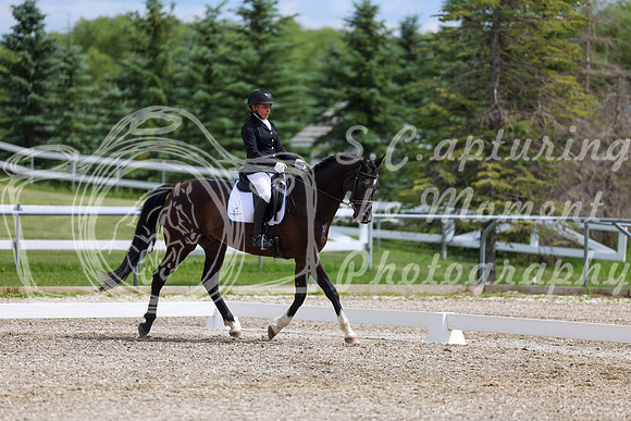 2025 - Dressage Festival - Saturday July 5th - 11464