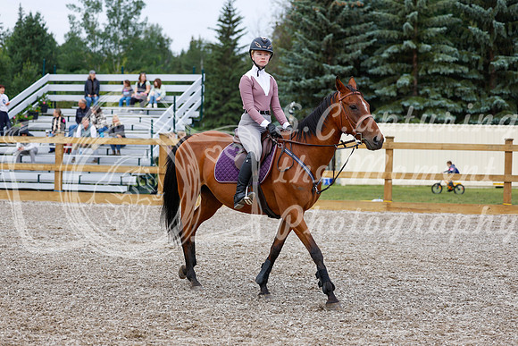 2025 - Haylee - Picco Horse Show - Saturday July 26th 00935