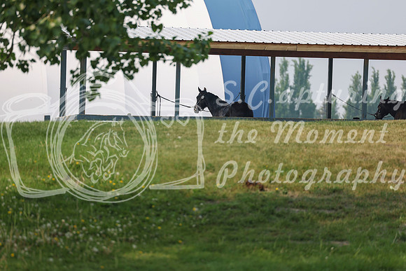 2025 - Shea - June Classic I - Wednesday June 11th - 03506