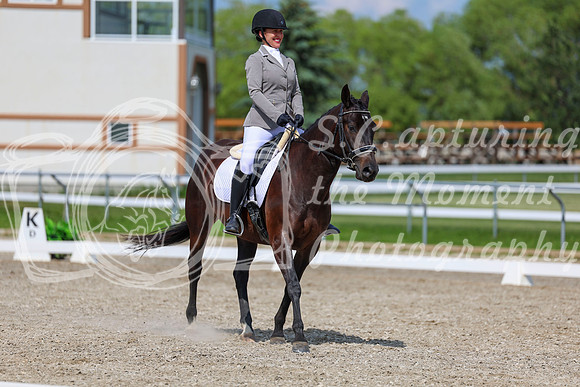 2025 - Dressage Festival - Saturday July 5th - 14615