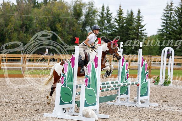 2025 - Haylee - Picco Horse Show - Saturday July 26th 04618