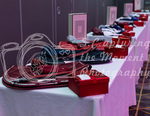 2026 - Jump Alberta Gala - Saturday January 10th - 00013