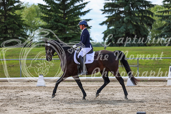 2025 - Dressage Festival - Saturday July 5th - 14802