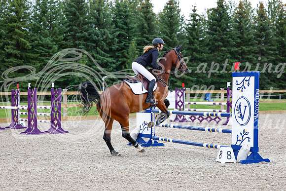 2025 - Haylee - Picco Horse Show - Sunday July 27th 04565
