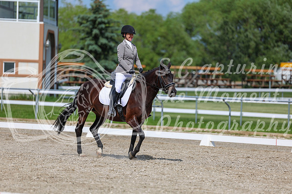 2025 - Dressage Festival - Saturday July 5th - 14550