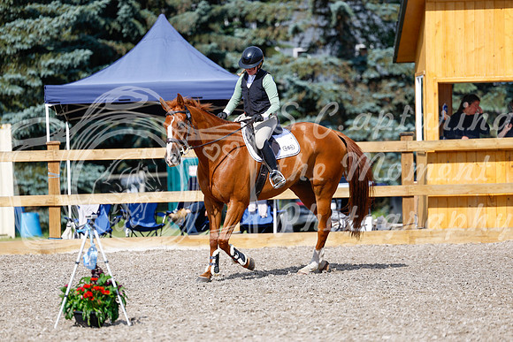2025 - Haylee - Picco Horse Show - Thursday July 24th 01257