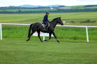 2025 - Shea - Teesdale - Saturday July 26th - 04394