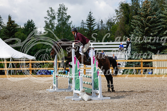 2025 - Haylee - Picco Horse Show - Sunday July 27th 03257