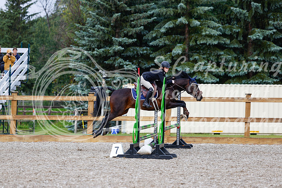 2025 - Haylee - Picco Horse Show - Sunday July 27th 01104