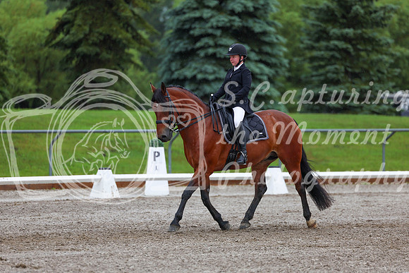 2025 - Dressage Festival - Sunday July 6th - 01066