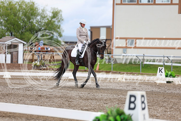 2025 - Dressage Festival - Sunday July 6th - 10442