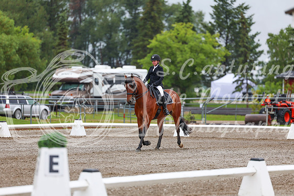 2025 - Dressage Festival - Sunday July 6th - 01058