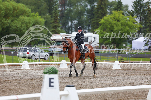 2025 - Dressage Festival - Sunday July 6th - 01062