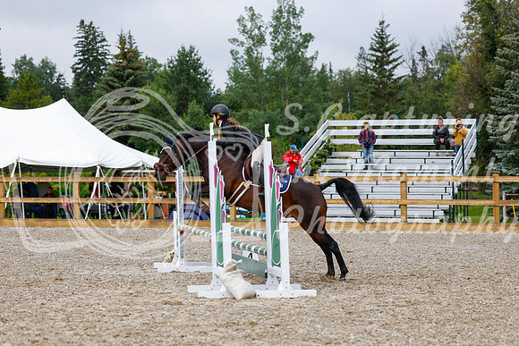 2025 - Haylee - Picco Horse Show - Sunday July 27th 01095