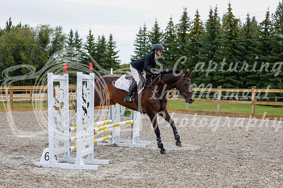 2025 - Haylee - Picco Horse Show - Friay July 25th 01002