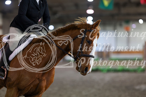 2026 - HJ Schooling - Saturday March 21st - 02080