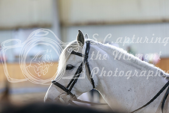 2026 - HJ Schooling - Saturday March 21st - 00993
