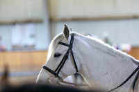 2026 - HJ Schooling - Saturday March 21st - 00994