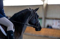 2026 - HJ Schooling - Saturday March 21st - 00349