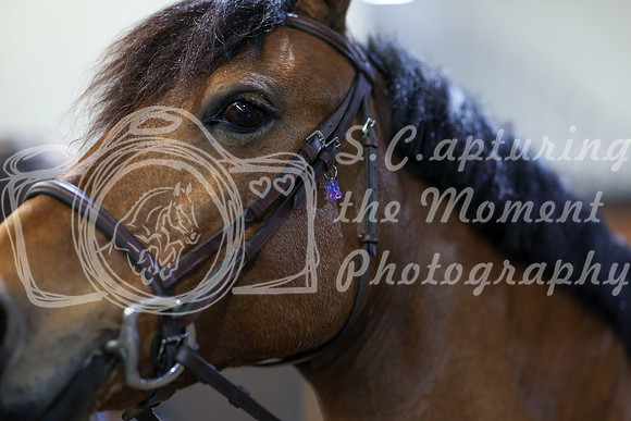 2026 - HJ Schooling - Saturday March 21st - 00944