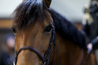 2026 - HJ Schooling - Saturday March 21st - 00945