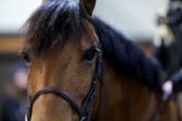 2026 - HJ Schooling - Saturday March 21st - 00946