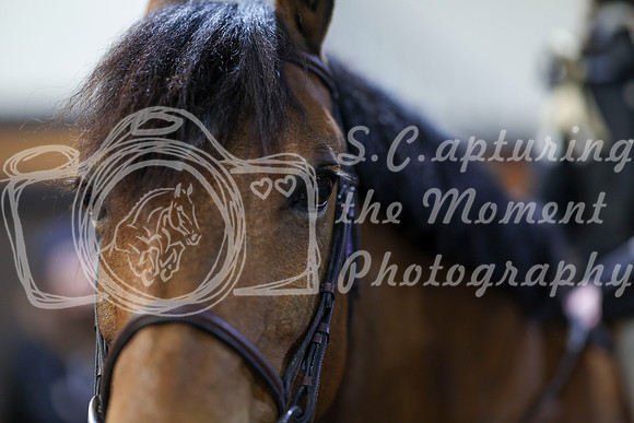 2026 - HJ Schooling - Saturday March 21st - 00946