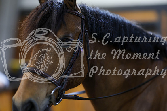 2026 - HJ Schooling - Saturday March 21st - 00947