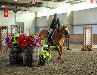 Hunter Jumper Schooling