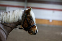 2026 - HJ Schooling - Sunday March 22nd - 02967