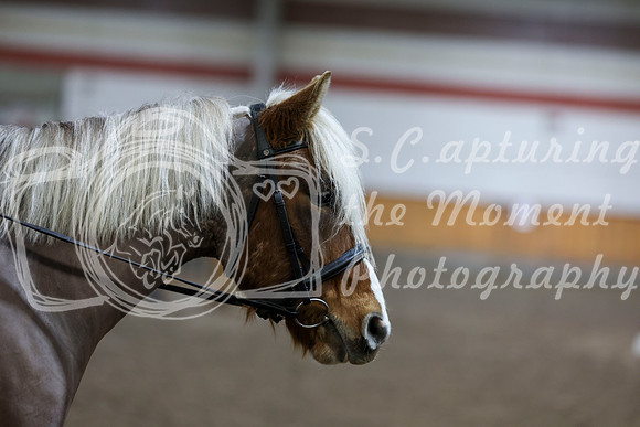 2026 - HJ Schooling - Sunday March 22nd - 02967