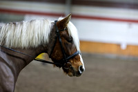 2026 - HJ Schooling - Sunday March 22nd - 02965
