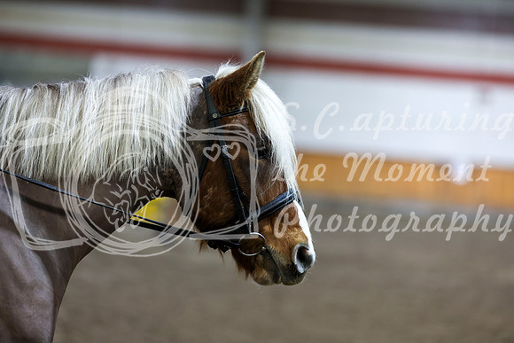 2026 - HJ Schooling - Sunday March 22nd - 02965