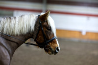 2026 - HJ Schooling - Sunday March 22nd - 02966